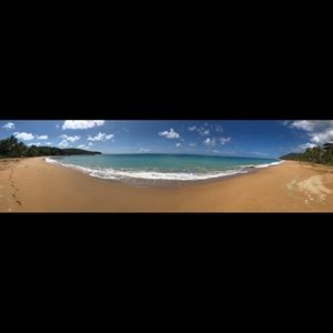 Meet your Posher, Liana